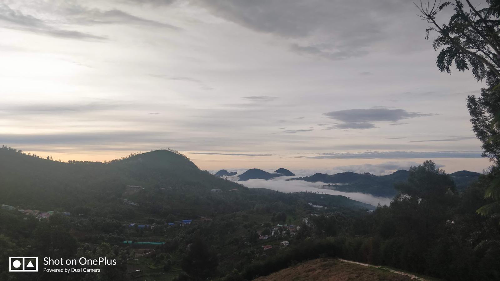 View