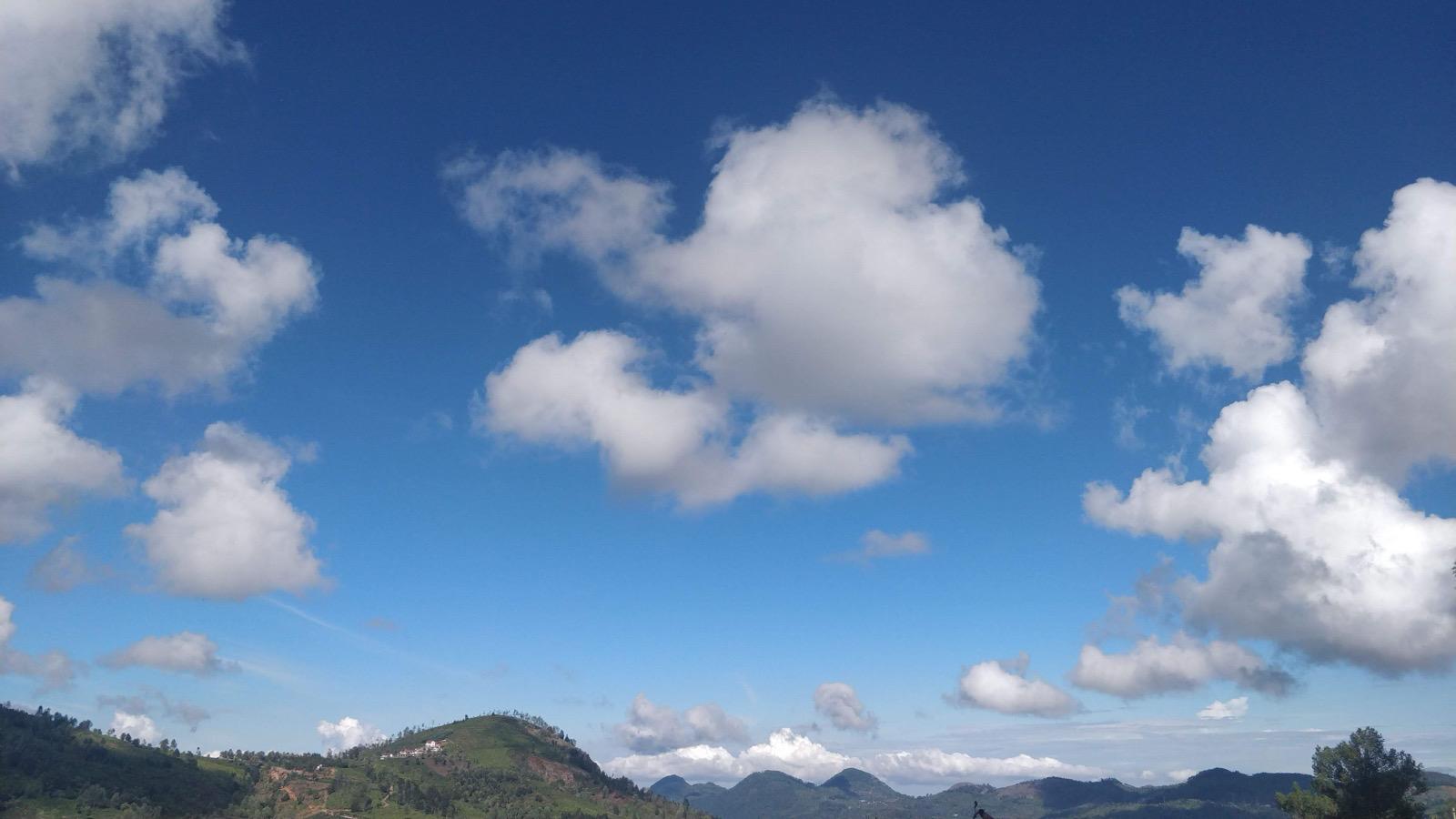 View